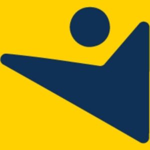 Nexter logo